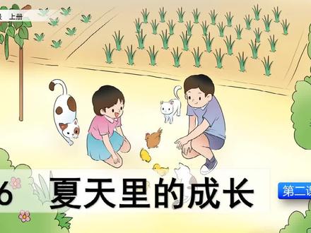 课文讲解-语文-6上-16 夏天里的成长(第2课时)