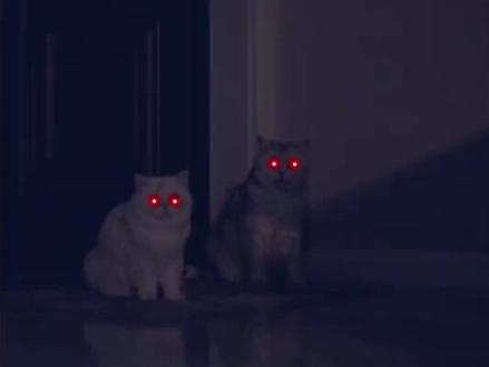 冥想禅修,美好的一天,感受冥想带来的放松和活力