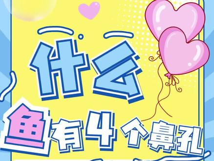 什么?鱼竟然有四个鼻孔?#涨知识 #科普 #神奇动物在抖音 @DOU+小助手 @抖小益