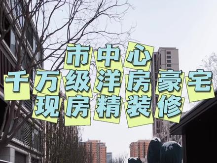 #金地阅千峯现房实景 #市中心 #豪宅 #抖音房产#院子的梦想 带地下室,精装修,市区改善首选
