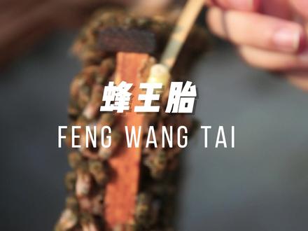 #蜂王胎 #蜂蜜 #科普一下 #三农 #我的乡村生活 #纯天然无添加 哟嚯~蜂王胎你敢吃吗!