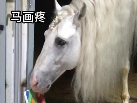 尼寇🐴玩转谐音梗😄#谐音梗挑战 #马