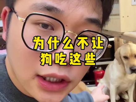 为什么不让狗吃这些!#养狗经验分享 #狗狗 #养狗人 #科学养宠攻略