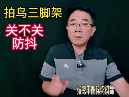#摄影三脚架关不关防抖#鸟类摄影#单反专业摄影技巧