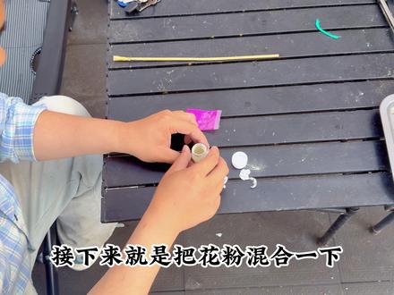 猕猴桃人工授粉 使用公树花粉进行授粉比等着蜜蜂授粉成功率高多了#猕猴桃 #小院生活 #院子的梦想 #我的乡村生活 #小院改造