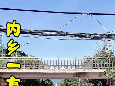 内乡一高天桥 一座桥,横跨教育路,连通南北;一座“龙门”,承载理想,托举未来。
1939年,以教育救国之志赓续文脉的内乡一高于烽火中创立,时名“河南省战区临时第一中学”。抗战胜利后更名为“河南省立内乡中学”。内乡解放后,内乡一高1949年2月开始招收新生,1954年迁入苏式新校舍,定名“河南省内乡高级中学”。八十六载沧桑,从战火淬炼到桃李芬芳,从青砖灰瓦到楼宇巍然,内乡一高始终与国同行,以赤诚育才之心回应时代召唤。
2005年,全国特级教师、教育专家张维新校长以科学治校理念,带领学校跻身河南省首批示范性高中,清华北大录取人数连年领跑南阳兄弟县市。至2021年,学校已拥有150余个班级、近9000名学子,成为豫西南教育标杆。
2005年南校区落成,教育路却成天堑。2006年,一座宽4米、跨径13米的混凝土天桥凌空架起。自此,晨光中师生踏桥疾行,暮色里携书而归。桥下车流奔涌,桥上青春飞扬,天桥以钢筋铁骨筑起安全屏障,更以无声坚守串联起教学、食宿与理想。
这座内乡县唯一的人行天桥,亦是万千学子人生的“跃龙门”之地。七十余届毕业生由此出发,或入清华北大深耕学术,或赴四海八方奉献家国。桥面斑驳的足迹,记录着少年褪去青涩的蜕变;桥下琅琅的书声,回响着知识跨越时空的力量。
天桥不言,却见证着一座城对教育的赤诚,这是内乡人崇文重教的象征。当学子昂首迈过这座“龙门”,脚下是母校的根基,肩上是时代的使命。
桥如虹,心如磐。内乡一高育英才济天下,步履永不停歇。#内乡 #高中 #教育 #新视界新南阳 #高考