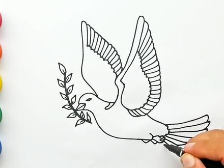 儿童启蒙色彩画,和平鸽,爱好和平从娃娃抓起,你学会了吗