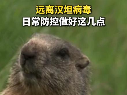 远离汉坦病毒,日常防控做好这几点