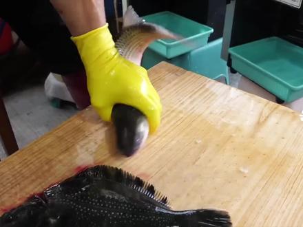 韩国菜场传奇鲨鱼师傅,刀工丝滑到解压,食客挤破头围观#美食 #地方特色美食 #鱼生