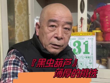 #干货经验分享 #传统文化 #鸣虫葫芦的选择 #黑虫葫芦挑选 #经验分享 老安聊虫系列视频第二十三篇(上集)《黑虫葫芦 薄 厚 的挑选》