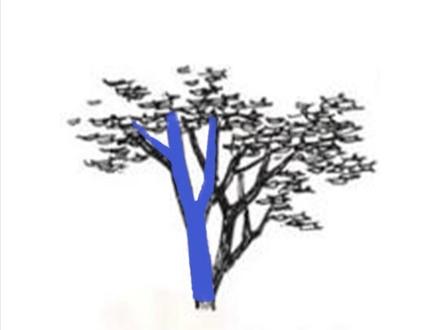 掌握3个关键点就能画出好看的树杈杈啦,画古风场景一定要试试
#插画 #画画 #干货分享 #古风 #插画教程