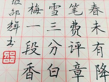 钢笔楷书卢梅坡“雪梅”