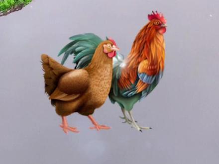 今年一定东山再起的三大生肖……#生肖鸡#东山再起#生肖文化 #生肖好运 #国学智慧 #十二生肖#情感💎励志@抖音小助手 @DOU+小助手