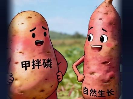 央视曝光云南“毒红薯”,已流向全国,请注意!#守护舌尖上的安全 #创作者中心 #创作灵感 #毒红薯