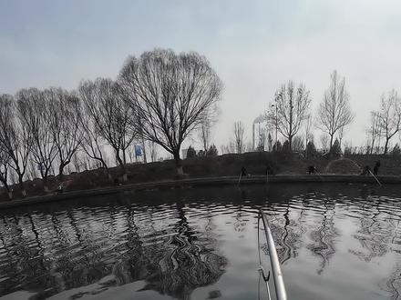 带两个小徒弟学钓鱼,数学老师能不能来一起钓鱼就靠你俩了#钓鱼 #钓鱼那些事 #钓鱼的乐趣只有钓鱼人懂 #新手钓鱼 #钓鱼人