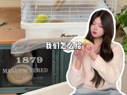 鹦鹉换新鸟笼教程|小鸟怎么才能不害怕⁉️ 小鸟太可爱了,当然值得大别墅啦~但是很多小鹦鹉胆子比较小,如果突然更换新鸟笼、家具、玩具,反而会让小鸟应激害怕,我们换鸟笼可以分成三步走,快则几小时,慢则几天~
一、熟悉新笼子
二、引导鸟宝主动探险
三、适应新家
#鹦鹉 #鹦鹉鸟笼 #新手养鸟 #新手养鹦鹉 #养鸟经验分享