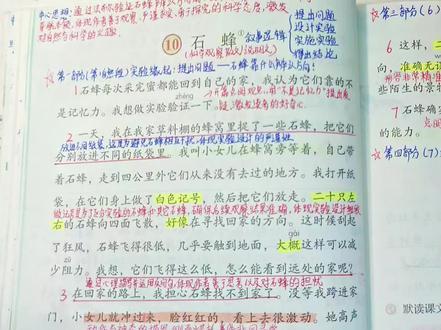 三年级下册语文第十课《石蜂》详细讲解,看完的记得告诉老师哦#三年级下册语文 #手写笔记 #语文笔记 #语文#家长收藏