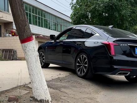 凯迪拉克的ct5的地盘通过性还是可以的#凯迪拉克 #ct5 #黑凯