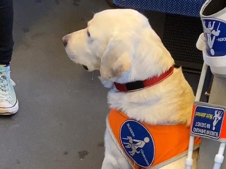 为什么德国人每天中午就吃个面包,还长得又高又壮? #vlog日常 #留学日常