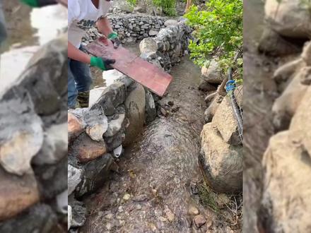 小河沟做了一个拦河坝,水流优先进入鸡鸭舍的水池。