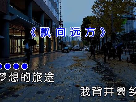 每个人都有梦想 而你的梦想是什么?实现了吗?#飘向北方 #音乐