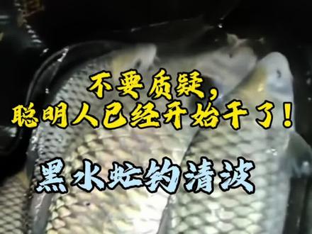 给大家看下,清波到底吃不吃黑水虻!#这也能开播 #清波鱼 #黑水虻 #原来钓鱼才是抖音运动顶流 #钓鱼人就是这么疯狂
