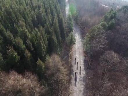 五峰线上申请林木采伐许可证,最短15分钟可拿证。