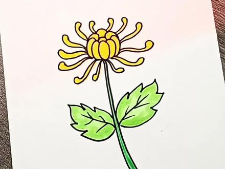 清明节快到了,一起来画菊花🌼超级简单@DOU+上热门 @DOU+小助手 #清明节主题画 #菊花 #儿童简笔画 #清明节 #儿童启蒙