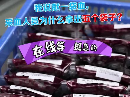 我说献一袋血,采血人员为什么拿出五个袋子?#献血#采血#红细胞