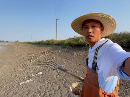 农村小伙抓了6个大甲鱼!野生甲鱼50元一斤,又可以赚几百块了!