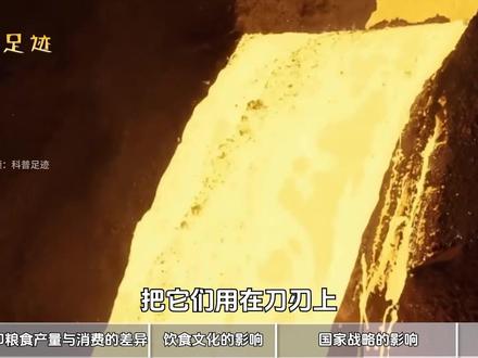 同样要养活14亿人,为什么中国全世界买粮食,印度却大量出口粮食?【抖音独家】@抖音科普 #2025世界回忆录 #知识前沿派对 #抖音知识年终大赏 #涨知识 #青年创作者成长计划