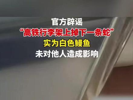 高铁行李架上掉下一条蛇?官方通报
