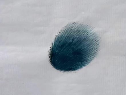 国画工笔禽鸟丝毛法,色丝法技巧要点讲解,彩鸟丝毛染色技法教程 #一起学画画#国画教程 #国画 #工笔画 #画画