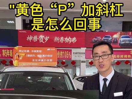 #带你懂车 #哈弗h6 #黄色p加斜杠是什么 黄色p加斜扛是什么