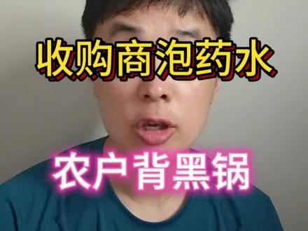 杨梅成杨“霉” 媒体曝光漳州药水杨梅,后遗症来了。收购商泡药水,种植户背黑锅,简直惨#药水杨梅 #漳州 #农民种地不容易
