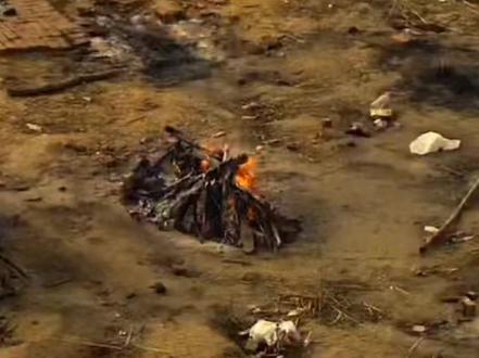 印度爆发“尼帕病毒”:无药可医,人传人,普通人怎么防?#印度疫情 #科普