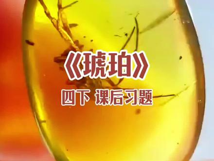 说说课文中琥珀的形成过程 #四下 《琥珀》#课后习题 #学霸秘籍