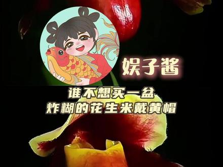 谁不想买一盆炸糊的花生米带黄帽呢#鲜花 #名字 #娱乐评论大赏
