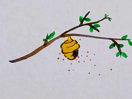 马蜂窝#简笔画#幼儿简笔画#儿童简笔画#一学就会的简笔画#简笔画教程