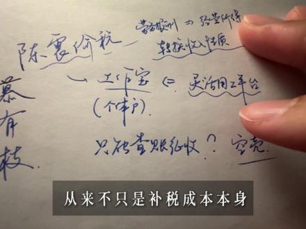 陈震偷税案例,关于转换收入性质