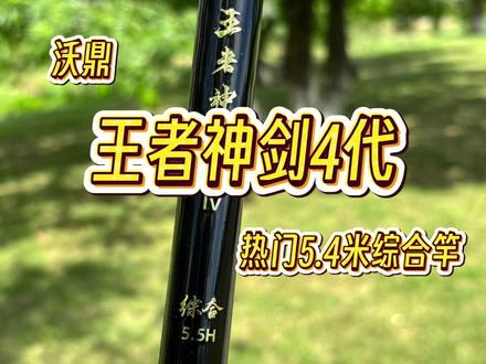 1.5号子线秒切,是鱼太大还是我手法不行? #鱼竿测评 #王者神剑 #综合竿 ##钓鱼装备 #钓鱼那些事