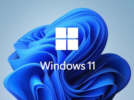 微软发布Windows11正式版22000.795 #电脑 #科技 #Windows11