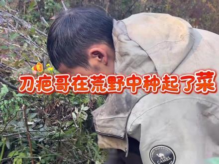 刀疤哥在荒野中种起了菜#荒野求生 #刀疤哥