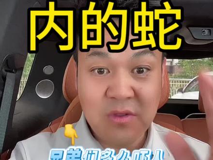 驾驶仓内的蛇从哪里来的?#问界m9 @喜欢智驾的男孩