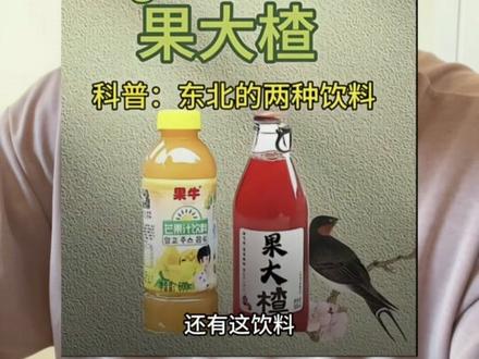 东北方言可没有这个意思!#小5哥 #搞笑 #吐槽 #东北方言