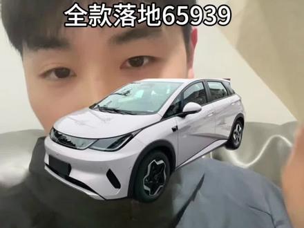 比亚迪海豚 比亚迪海豚#比亚迪海豚 #新车帮提#比亚迪