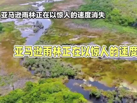 正在消失的亚马逊雨林#科普 #知识科普
