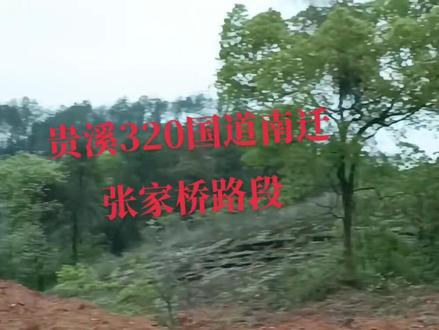贵溪320国道南迁,张家桥路段,工地现场