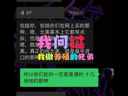 杂佛比北美贵 但那是以前#北美拟鳄龟 #杂佛鳄龟