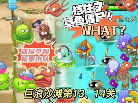 巨浪沙滩第13、14关:猫尾草和板栗小队居然能防住章鱼僵尸 #植物大战僵尸2 #pvz2 #巨浪沙滩 #猫尾草 #板栗小队 #章鱼僵尸